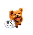 僕ぺぺ（個別スタンプ：1）