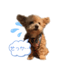 僕ぺぺ（個別スタンプ：2）