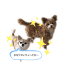 僕ぺぺ（個別スタンプ：5）