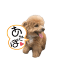 僕ぺぺ（個別スタンプ：7）
