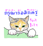 タイ語ニャンズ 2（個別スタンプ：32）