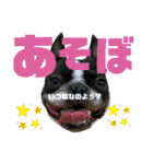 ナツレオスタンプ（個別スタンプ：21）