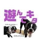 ナツレオスタンプ（個別スタンプ：26）