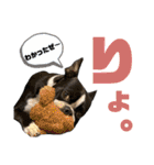 ナツレオスタンプ（個別スタンプ：28）