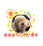 レオンとピンキー（個別スタンプ：1）