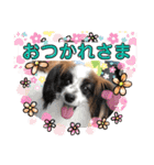 レオンとピンキー（個別スタンプ：4）