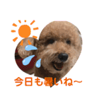 レオンとピンキー（個別スタンプ：8）