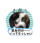 レオンとピンキー（個別スタンプ：11）