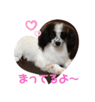 レオンとピンキー（個別スタンプ：12）