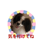レオンとピンキー（個別スタンプ：20）
