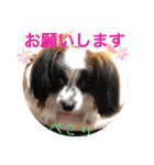 レオンとピンキー（個別スタンプ：21）