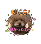 レオンとピンキー（個別スタンプ：28）