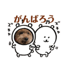 レオンとピンキー（個別スタンプ：29）
