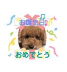 レオンとピンキー（個別スタンプ：31）