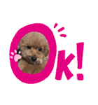 レオンとピンキー（個別スタンプ：33）