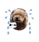 レオンとピンキー（個別スタンプ：36）