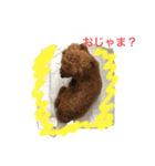 ケイトちゃん（個別スタンプ：2）