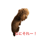ケイトちゃん（個別スタンプ：6）