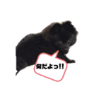 僕、しし丸。パート3（個別スタンプ：2）