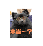 僕、しし丸。パート3（個別スタンプ：4）