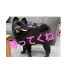僕、しし丸。パート3（個別スタンプ：5）