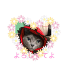 RINO‘s stamp（個別スタンプ：3）