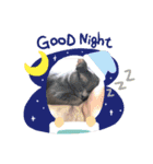 RINO‘s stamp（個別スタンプ：5）