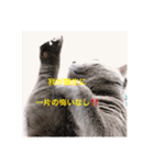 RINO‘s stamp（個別スタンプ：7）