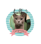 RINO‘s stamp（個別スタンプ：10）