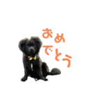 かぶのすたんぷ（日常会話）（個別スタンプ：2）