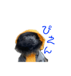 かぶのすたんぷ（日常会話）（個別スタンプ：5）