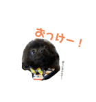 かぶのすたんぷ（日常会話）（個別スタンプ：7）