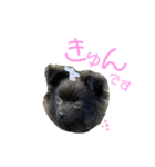 かぶのすたんぷ（日常会話）（個別スタンプ：14）