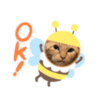 まろん！！！（個別スタンプ：5）