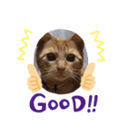 まろん！！！（個別スタンプ：7）