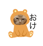 まろん！！！（個別スタンプ：12）