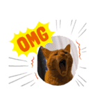 まろん！！！（個別スタンプ：22）