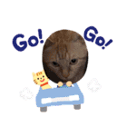 まろん！！！（個別スタンプ：24）