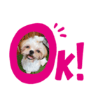 らんらんらんぷ（個別スタンプ：1）