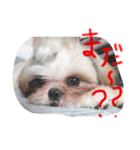 らんらんらんぷ（個別スタンプ：2）