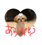 らんらんらんぷ（個別スタンプ：5）