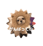 らんらんらんぷ（個別スタンプ：7）