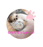 らんらんらんぷ（個別スタンプ：8）