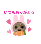 モカちゃん日記その5（個別スタンプ：4）