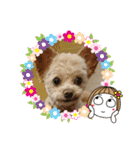 モカちゃん日記その5（個別スタンプ：8）