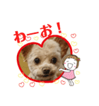モカちゃん日記その5（個別スタンプ：9）
