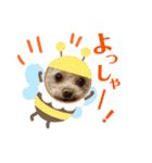 モカちゃん日記その5（個別スタンプ：10）