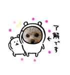 モカちゃん日記その5（個別スタンプ：14）