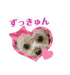 モカちゃん日記その5（個別スタンプ：17）
