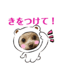 モカちゃん日記その5（個別スタンプ：18）